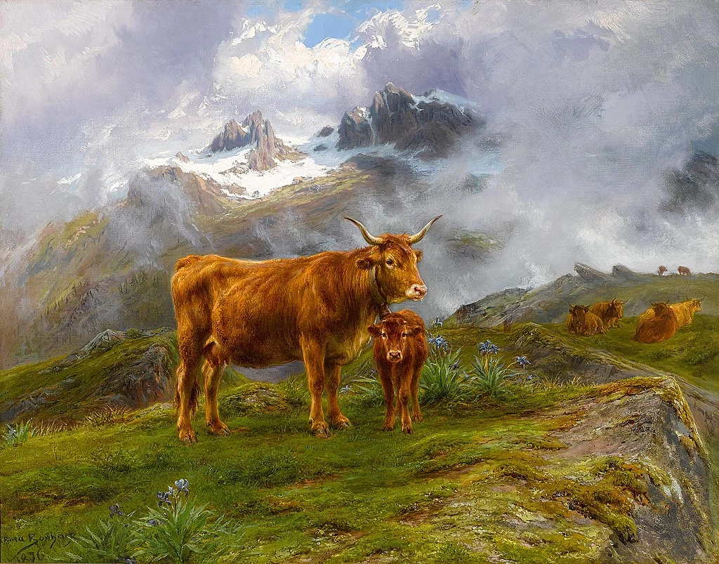 Bovini delle Highlands (1876)